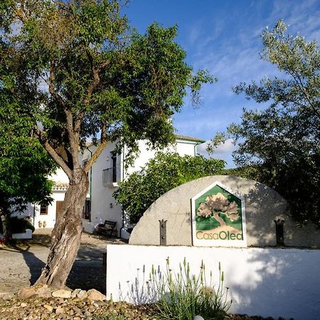 Bed and Breakfast Casa Olea Priego de Córdoba Exteriér fotografie